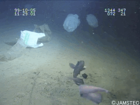 trasch-icra19 dataset